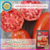 ราคา อินทรีย์็ด ใหม่็ด ใหม่มะเขือเทศ (Speckled Roman Tomato Seeds) ใหม่ คละ (18175535645)