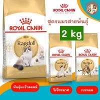 ราคา [2Kg] Royal Canin อาหารเม็ดแมวโตพันธุ์แร็กดอลล์ วิเชียรมาศ เปอร์เซีย เบงกอล(Ragdoll ,Siamese PERSIAN ฺBengal) โรยัลคานิน (43357549414)