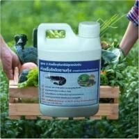 ราคา น้ำหมักกุ้งทะเล จุลินทรีย์ สูตรเข้มข้น (49002482075)