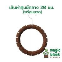 ราคา Magicblock ก้อนเพาะปลูกมหัศจรรย์แบบแขวนรูปต่าง ๆ/ก้อนไม้เทียม/ก้อนแขวนปลูกต้นไม้ (12930801419)