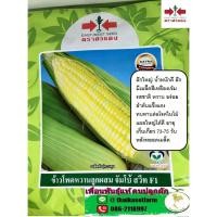 ราคา ข้าวโพดหวานลูกผสม F1 จัมโบ้ สวีท แบ่งขาย 500เมล็ดปลูกได้ 1-2งาน (4610212700)
