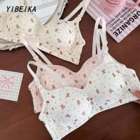 ราคา สไตล์ญี่ปุ่น บราแฟชั่น คัพบาง ลายสัตว์หมี สายปรับระดับได้ บราไร้โครง (41476331734)