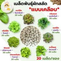 ราคา เมล็ดพันธุ์ผัก กรีนโอ๊ค เรดโอ๊ค เบบี้คอส ฟิลเลย์ บัตเตอร์เฮด กรีนคอส เมล็ดเคลือบ นำเข้าตรงสายพันธุ์ (18594589592)