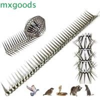 ราคา MXGOODS กระรอก Deterrent, ยืดหยุ่นออกแบบห้อยสแตนเลสนก Spikes, Bird Scare สนิมกันน้ํา 0.5/1m Anti Pigeon Spikes Garden (47856454788)