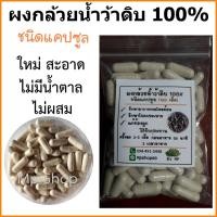 ราคา ผงกล้วยแคปซูล กล้วยน้ำว้าดิบแคปซูล 100 เม็ด (17539030577)
