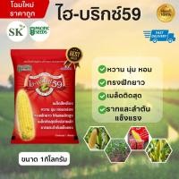 ราคา ข้าวโพดหวาน ไฮบริกซ์ 59 ข้าวโพดหวาน เมล็ดพันธุ์ ขนาด 1 กิโลกรัม (45155640767)