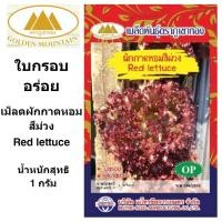 ราคา ภูเขาทอง เมล็ดผักกาดหอมสีม่วง ผักกาดหอมม่วง ผักกาดหอม ผักกาดม่วง เม็ดผักกาด เมล็ดพันธุ์พืช ขนาด 1 กรัม (9372306999)