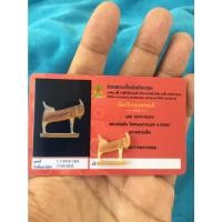 ราคา แพะเศรษฐี หลวงพ่อลัดวัดหนองกะบอก (16359447356)