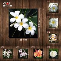 ราคา กรอบลอย ติดผนัง ภาพดอกไม้ ดอกลีลาวดี (ขนาด 25x25 ซม.) (6719263075)