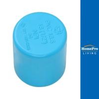 ราคา SCG ฝาครอบ-หนา 1/2 นิ้ว สีฟ้า จัดส่งโดย HomePro (22382462671)