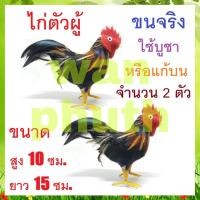 ราคา ไก่ขนจริง ไก่แก้บน ไก่บูชา ไอ้ไข่ เด็กวัดเจดีย์ ไก่ตัวผู้ ขายเป็นคู่ สูง 10 ซม. จำนวน 2 ตัว (4148374994)