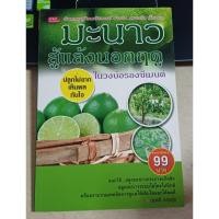 ราคา มะนาว สู้แล้งนอกฤดู ในวงบ่อรองซีเมนต์ (25233762223)
