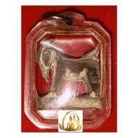 ราคา แพะเศรษฐี เขาควายฟ้าผ่า หลวงพ่ออาด วัดบุญสัมพันธ์ ชลบุรี (15285194754)