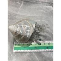 ราคา ปูแก้วเป่า เปลือกหอยแท้ เปลือกหอยเจดีย์ขัดมุก สะสม ตกแต่งบ้าน (48251082139)