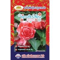 ราคา เมล็ดพันธุ์ ดอกเทียนซ้อน ตราภูเขาทอง (3819489689)