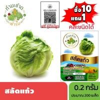 ราคา ทำมะชาดฟาร์ม (ซื้อ10แถม1) เมล็ดพันธุ์ สลัดแก้ว ขนาด0.2กรัม ประมาณ200เมล็ด ICEBERG ผักกาดแก้ว ผักสลัด เมล็ดพันธุ์พืช (5035821567)