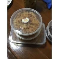 ราคา หมูฝอย 1 กิโลกรัม/ฉีกเส้น (27217060738)