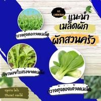 ราคา เมล็ดกวางตุ้งฮ่องเต้ กวางตุ้งดอก ผักกาดเขียวใบสร้อย 10แถม1คละได้ (19385433096)