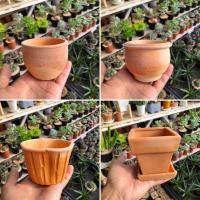 ราคา กระถางดินเผา กระถางแคคตัส (7375276910)