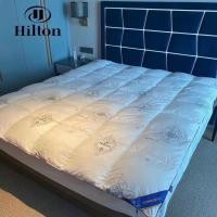 ราคา ไส้ผ้าห่มขนนก Hilton ARTIFICIAL อุ่นสุดๆ/บาง/เบา นําเข้าได้อย่างสมบูรณ์ (56506140207)
