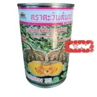 ราคา เมล็ดพันธุ์ฟักทอง ลายข้าวตอก(50กรัม)ฟักทอง (29208322260)