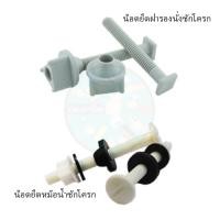 ราคา น็อตยึดฝารองนั่งชักโครก น็อตยึดหม้อน้ำชักโครก (17456523352)