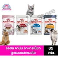 ราคา Royal Canin รอยัล คานิน อาหารเปียก ลูกแมวและแมวโต ขนาด 85g. (40275867434)