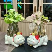 ราคา ไม้น้ำ ต้นพลูด่าง ต้นออมชมพู ในโหลแก้ว 3.5นิ้ว เเถมถาดรองไม้ + ตุ๊กตา ไม้ฟอกอากาศ minitree89 (23564192597)