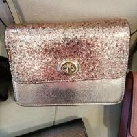 ราคา Coach Crossbody with chain. (2422111087)