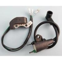 ราคา 2 ชุด/ล็อต ET950 ET650 IE45F TG950 TIGER เครื่องกําเนิดไฟฟ้า 450W 650W 800W 950W 1000W 2 จังหวะ Magneto coil Ignitor (43062244084)