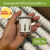 ราคา ถ้วยปลูกผักไฮโดรโปนิกส์ 100 ใบ ถ้วยปลูกผัก ถ้วยปลูกสีขาว ถ้วยขาวปลูกผัก พลาสติกเกรดA แข็งแรง เจาะรูสวย ใช้ซ้ำได้ (27358655429)