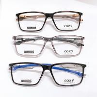 ราคา แว่นตา COZY รุ่น HT9514 กรอบพลาสติก ขาสปริง น้ำหนักเบา (SIZE: 53-36-17-140) (25034327457)