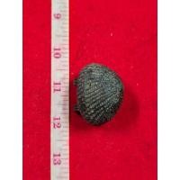 ราคา เบี้ยแก้ ถักเชือก ลงรักมีปรอท ของหลวงปู่บุญวัดกลางบางแก้วจังหวัดนครปฐม (40222584225)