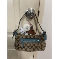 ราคา กระเป๋า coach ทรงพอช ของแท้ มือสอง (17380313352)