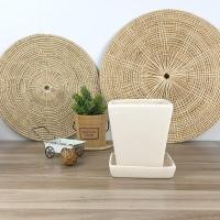 ราคา กระถางต้นไม้ กระถางดินเผา กระถางทรงสูง (6945207261)