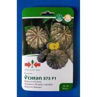 ราคา [ศรแดง] ผักซองพิเศษ เมล็ดฟักทองลูกผสม ข้าวตอก 573 F1 (22578735918)
