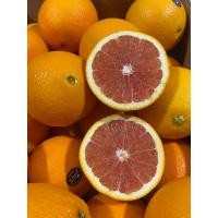 ราคา ส้มคารา คาร่า Cara Cara Orange (AUS ) 1 กิโลกรัม (3 ลูก ลูกใหญ่) (25636845645)