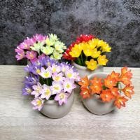 ราคา (02) ดอกบัวดินจิ๋ว ดอกบัวดินดินปั้นจิ๋ว ดอกบัวดิน บัวดินมินิ #ของจิ๋ว #miniature (29330755197)