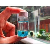 ราคา ชุดเพาะเลี้ยง สาหร่ายมาริโมะ Marimoพร้อมเลี้ยง (23335917535)