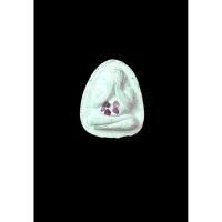 ราคา พระปิดตาเนื้อผงโรยพลอย หลวงปู่คำพันธ์ โฆสปัญโญ ปี2535 วัดธาตุมหาชัย จ.นครพนม รับประกันพระแท้100% (41900526487)