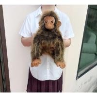 ราคา ตุ๊กตาวินเทจ / ตุ๊กตาลิงอุรังอุตัง ปี 1999 Vintage Ty Jake the Ape Monkey Orangutan Large ขนาด 17 นิ้ว (29581604437)