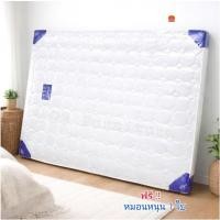 ราคา GS Furniture ที่นอน ขนาด 5 ฟุต,6 ฟุต หนา 6 นิ้วที่นอนรุ่นประหยัด ราคาโรงงาน ทางร้านค้าเพิ่มใยมะพร้าวให้หนาขึ้น (14481313932)