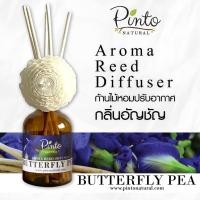 ราคา PINTONATURAL ก้านไม้หอมปรับอากาศ กลิ่นอัญชัญ Aroma Reed Diffuser Butterfly pea ขนาด 50ml.และ100ml. (1587139266)