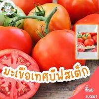 ราคา เมล็ดพันธุ์ มะเขือเทศ บีฟสเต็ก 50 เมล็ด Red Beefsteak Tomato เมล็ดพันธุ์นำเข้าแท้ 100% นำไปขยายพันธุ์ต่อได้ ไม่กลายพันธุ (8748133861)
