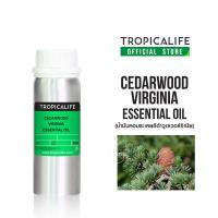 ราคา TROPICALIFE น้ำมันหอมระเหยซีด้าวูดเวอร์จิเนีย ขนาดใหญ่ 100ml / 500g (CEDARWOOD VIRGINIA ESSENTIAL OIL) (26579289667)