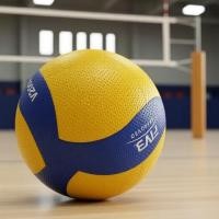 ราคา V330W ขนาด 5, วอลเลย์บอลในร่มและกลางแจ้ง, สําหรับการแข่งขันและการฝึกซ้อม (45856088470)