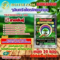 ราคา ไบโอการ์ด BIOGUARD ไตรโคเดอร์ม่า Trichoderma spp. 5 สายพันธุ์ ขนาด 500 ก. / 20 ซอง (25262794700)