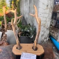 ราคา แท่นวางดาบซามูไร เขากวางแท้ มือสองจากญี่ปุ่น (26477634106)