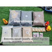 ราคา ดินปลูกกระบองเพชร ดินปลูกไม้อวบน้ำ ดินปลูกแคคตัส แคคตัส (4751593428)