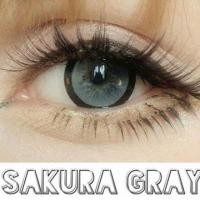 ราคา Sakura Gray - Guess Secret (482611373)